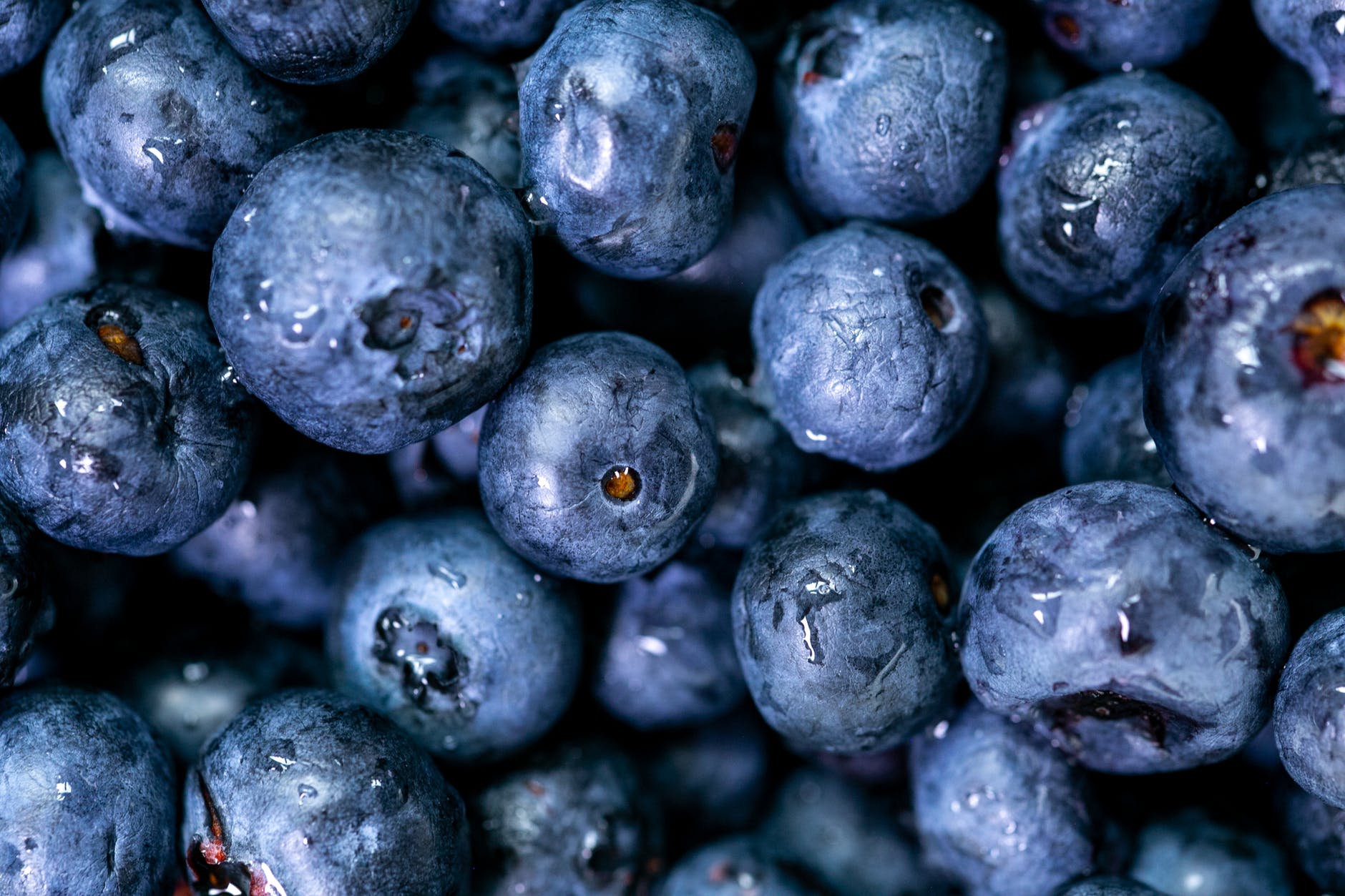 close up photo of blueberries